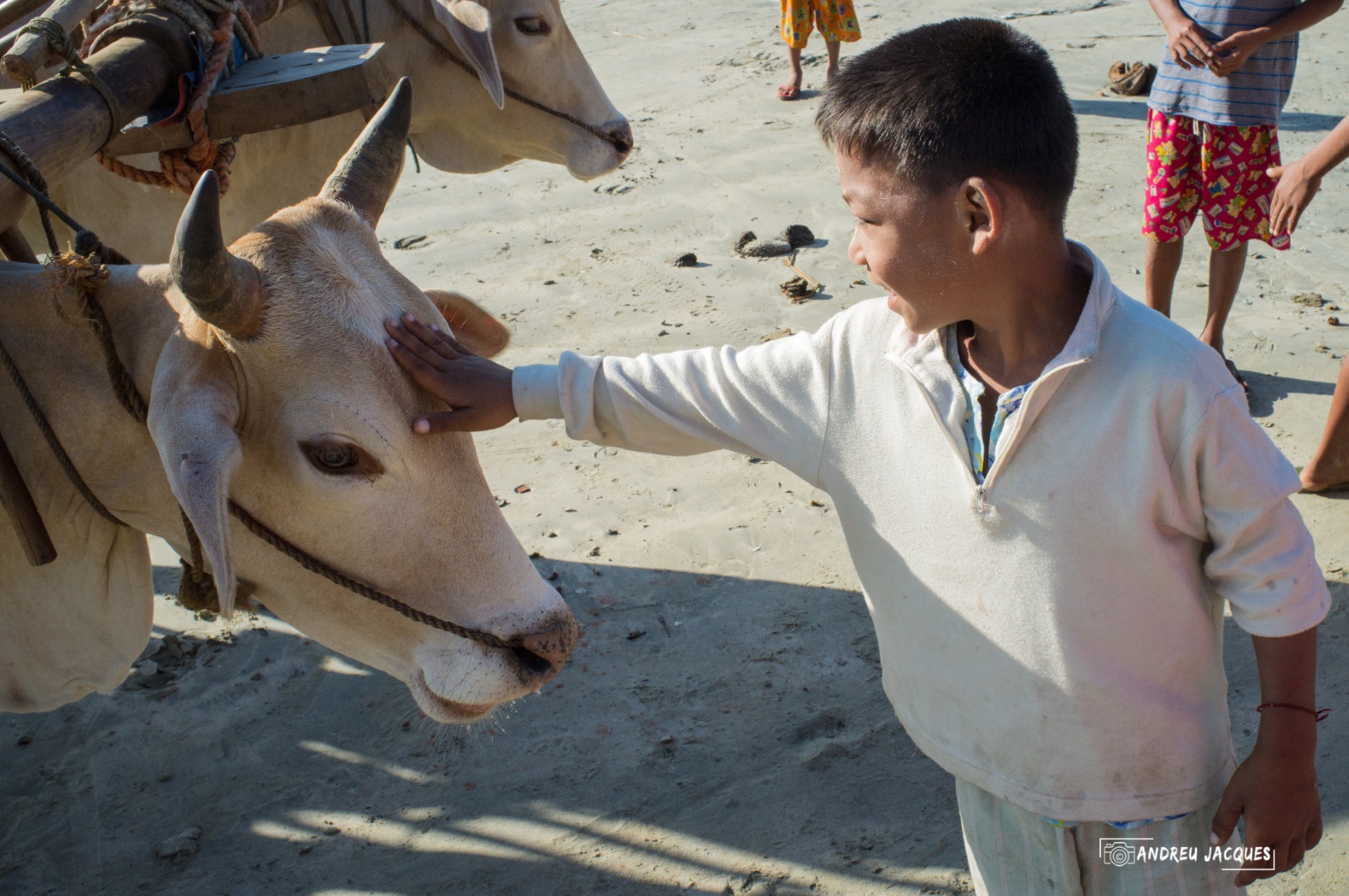 birmanie-237 (Grand).jpg